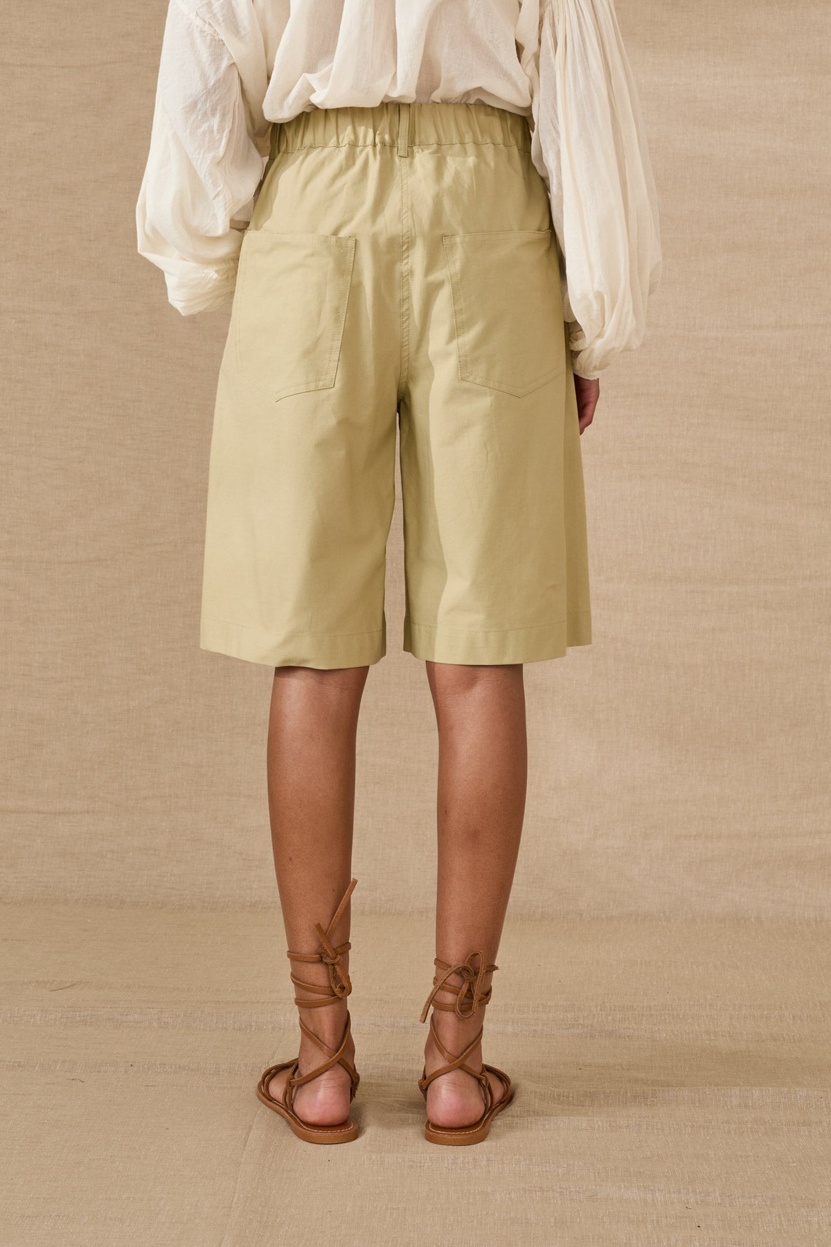 S39M0301-SALVIA - BERMUDA - SOUVENIR