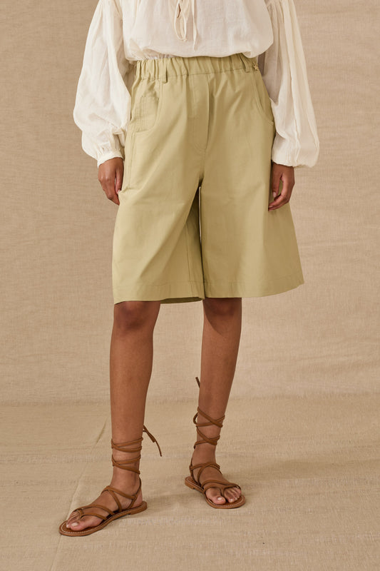 S39M0301-SALVIA - BERMUDA - SOUVENIR