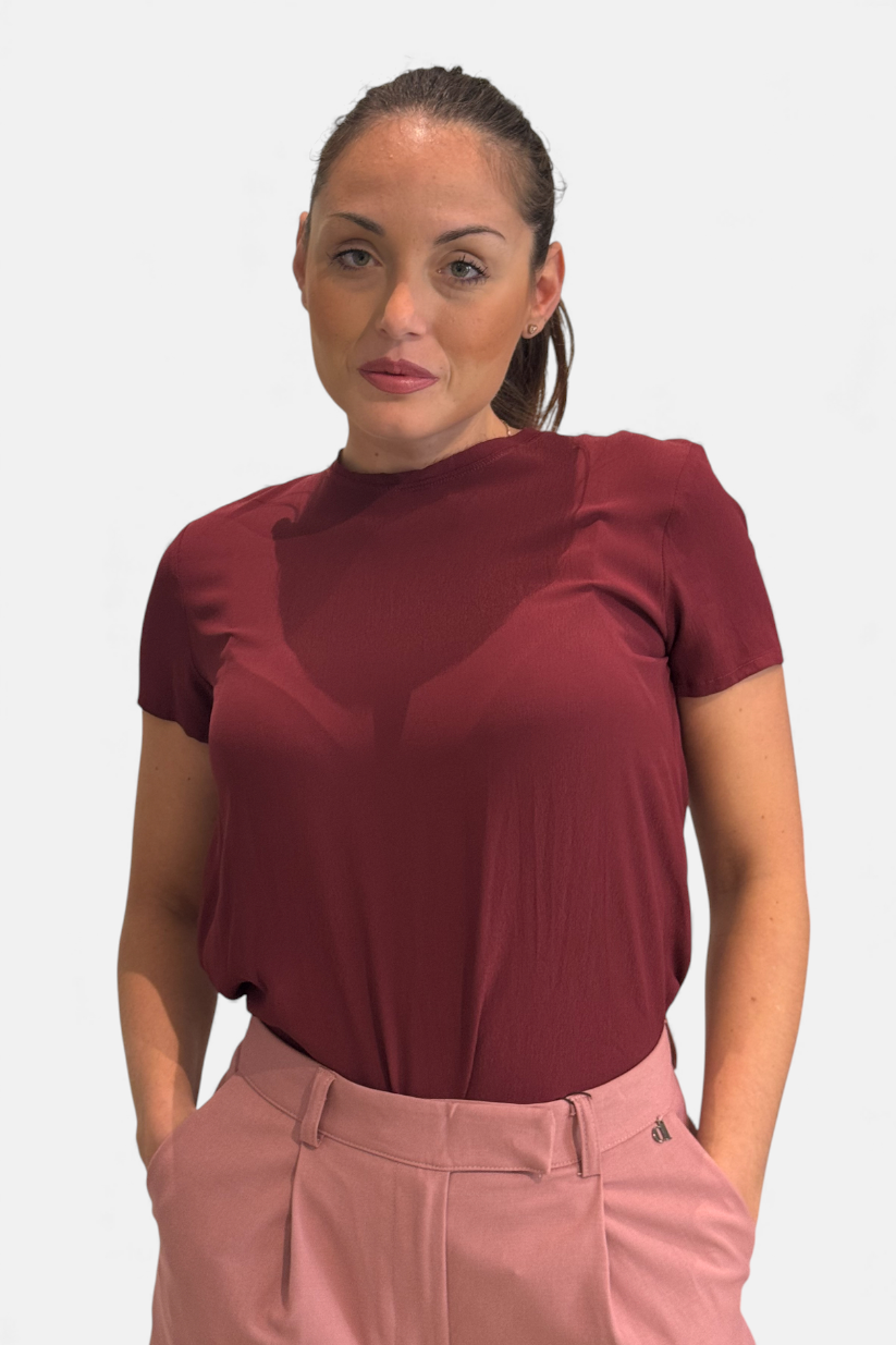 C843Y031A-BORDEAUX - MAGLIA - DIXIE