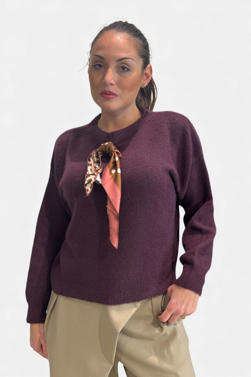 M277Y063A-MELANZANA - MAGLIA - DIXIE