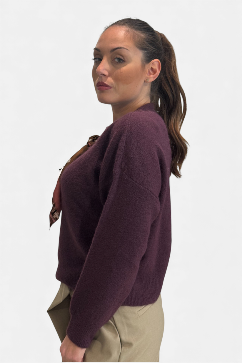 M277Y063A-MELANZANA - MAGLIA - DIXIE