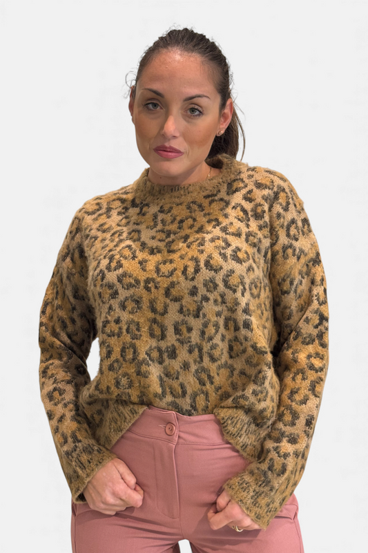 M504Y045A-CAMMELLO - MAGLIA - DIXIE