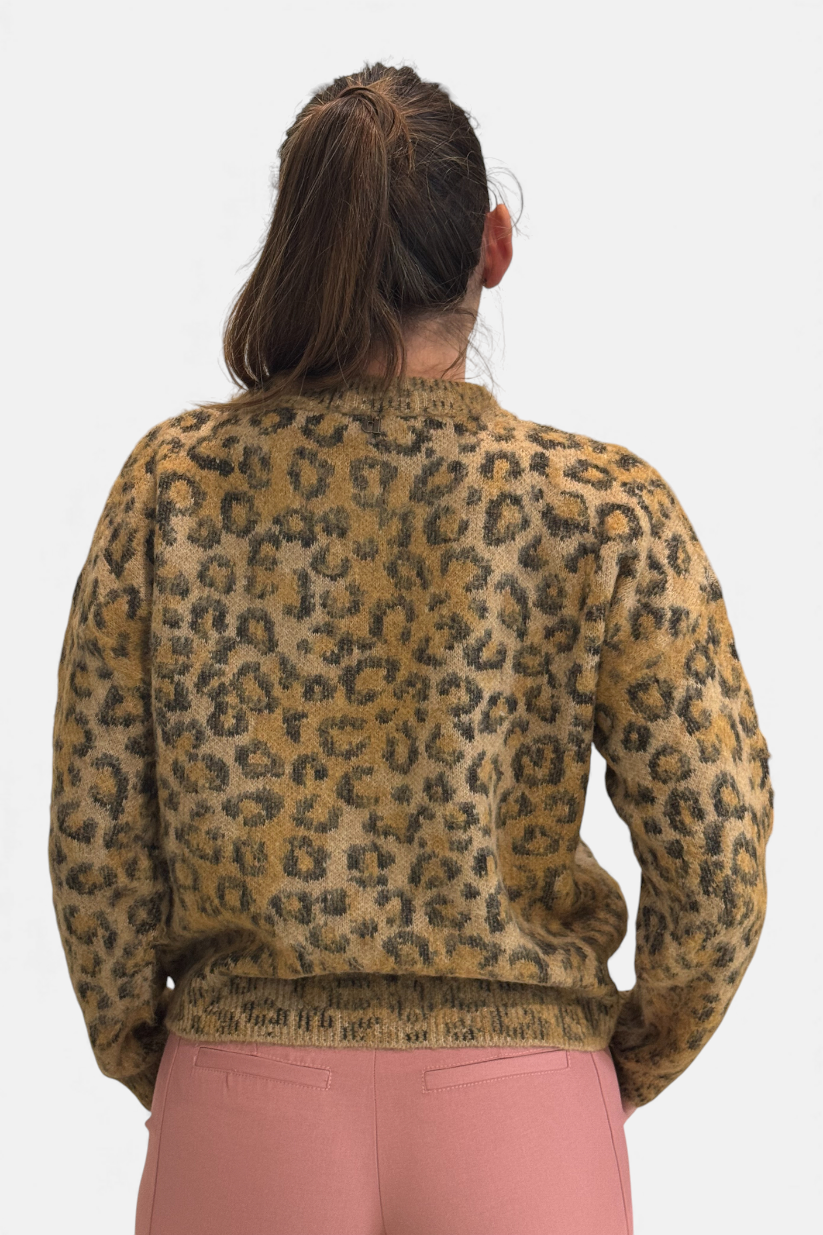 M504Y045A-CAMMELLO - MAGLIA - DIXIE